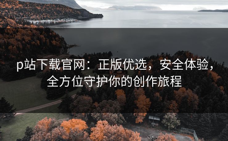 p站下载官网：正版优选，安全体验，全方位守护你的创作旅程