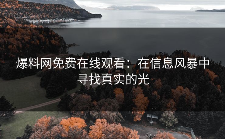 爆料网免费在线观看：在信息风暴中寻找真实的光