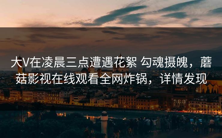 大V在凌晨三点遭遇花絮 勾魂摄魄，蘑菇影视在线观看全网炸锅，详情发现