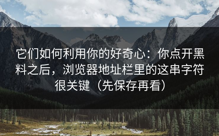 它们如何利用你的好奇心：你点开黑料之后，浏览器地址栏里的这串字符很关键（先保存再看）