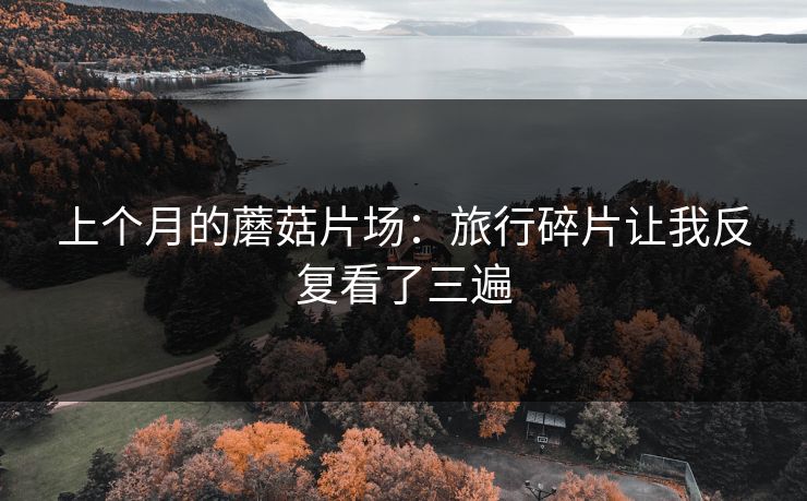 上个月的蘑菇片场：旅行碎片让我反复看了三遍